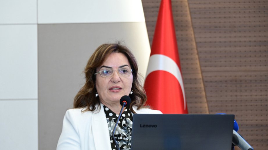 Aygün Attar: Azərbaycan qazının Suriyaya tədarükü Bakının Yaxın Şərqdə artan rolunun təzahürüdür