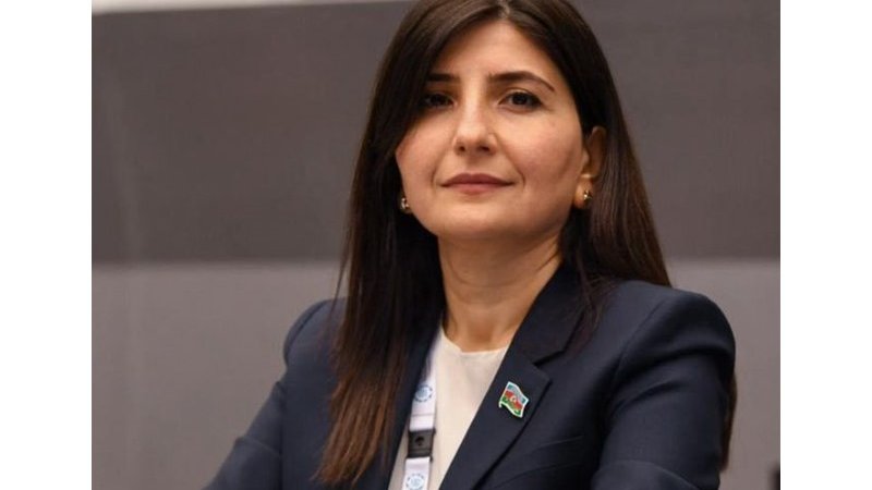 Xankəndidə Ayvazovskiyə qoyulmuş abidənin sökülməsi tamamilə qanuni addımdır – Sevil Mikayılova