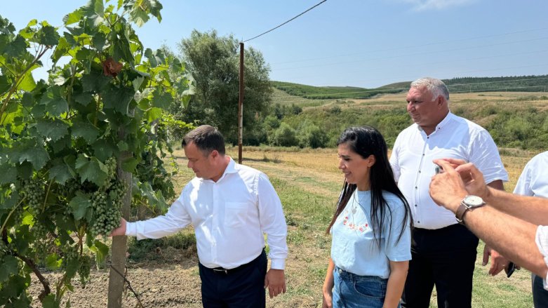 Şamaxıda Moldovanın üzüm sortlarından ibarət nümayiş bağı salınıb