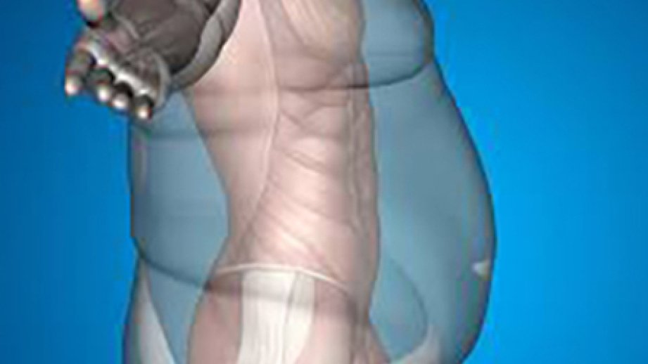 Eating earlier linked to long-term weight-loss success