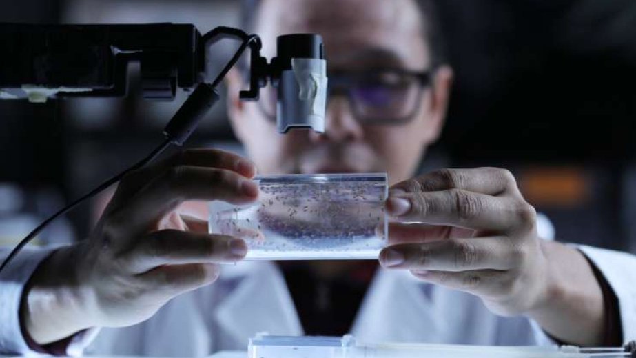 Study finds drinking coffee at night raises impulsivity, especially in females