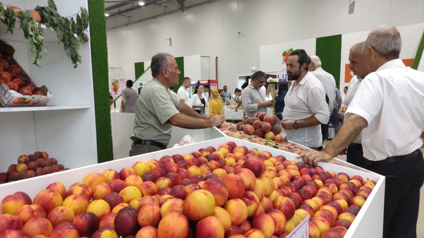 Xaçmazda ilk dəfə “Şaftalı” festivalı keçirilir