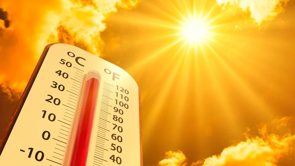 Temmuz 2025, dünyada kayıtlardaki üçüncü en sıcak temmuz ayı oldu