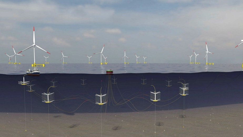 İsveç dəniz külək stansiyalarını qızılbalıq yetişdirilməsi ilə birləşdirməyi planlaşdırır