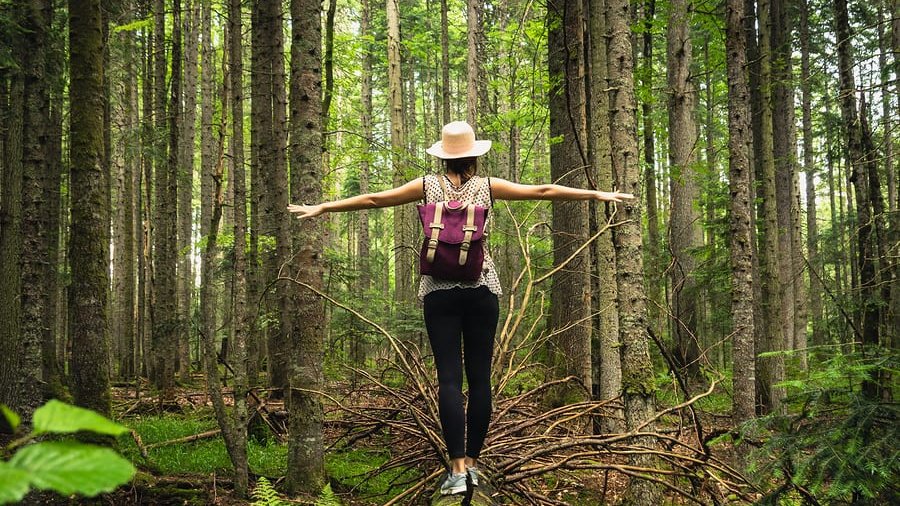 Araştırma: Doğa ruh sağlığına iyi geliyor