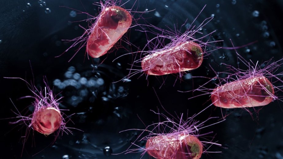 Britaniya alimləri daha keyfiyyətli dərmanların istehsalına təkan verəcək genetik kodu dəyişdirilmiş yeni bakteriya ştammı hazırlayıblar