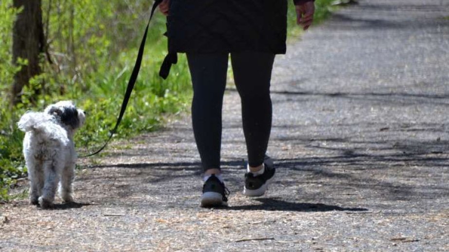 Yeni araşdırma: Kiçik yeriş dəyişiklikləri diz osteoartritini yavaşlada bilər