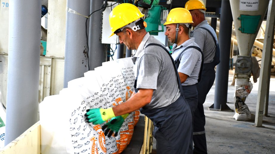 Neftçala Sənaye Məhəlləsinin rezidenti ixrac imkanlarını genişləndirir