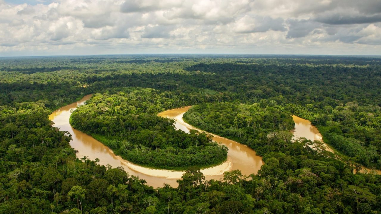 Amazon yağmur ormanları kuruyor