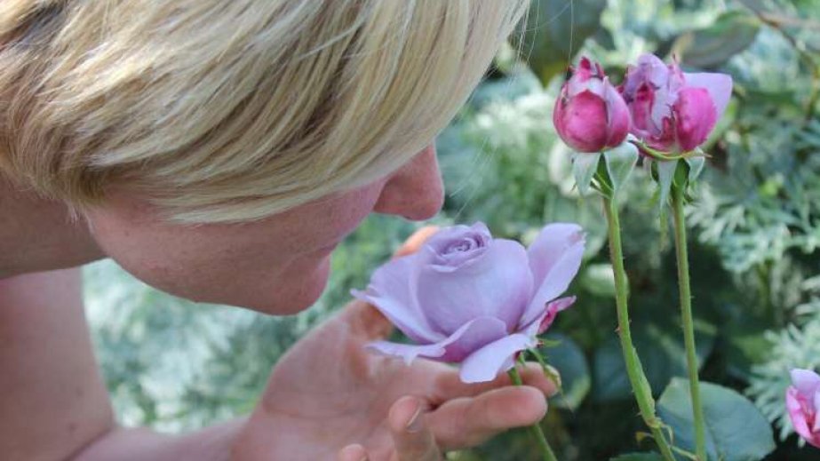 Alimlər beyində duyğuların necə birlikdə işlədiyini araşdırıblar - TƏDQİQAT