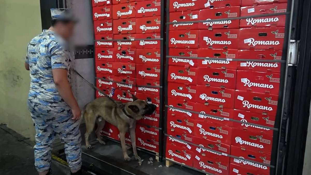 Kahının içərisində İrandan Rusiyaya aparılan 30 kq narkotik aşkarlandı