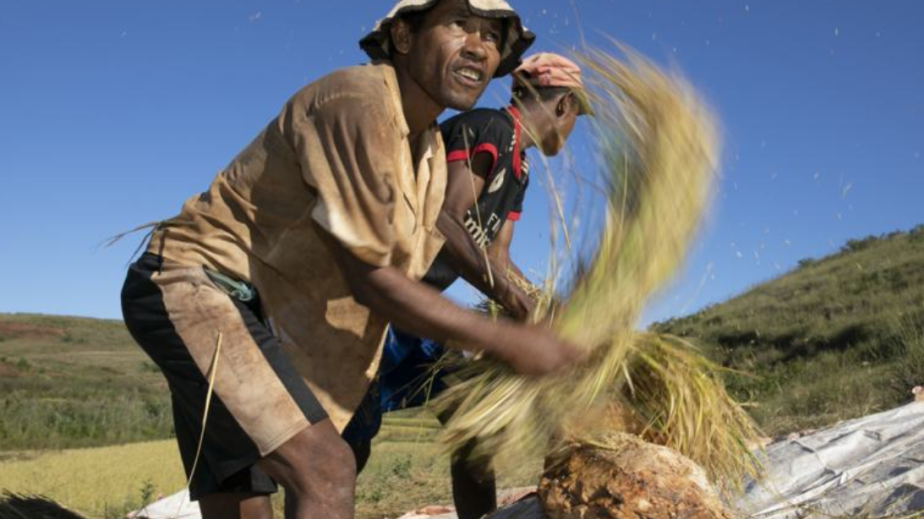 UN agencies warn of rising heat stress risks for workers worldwide