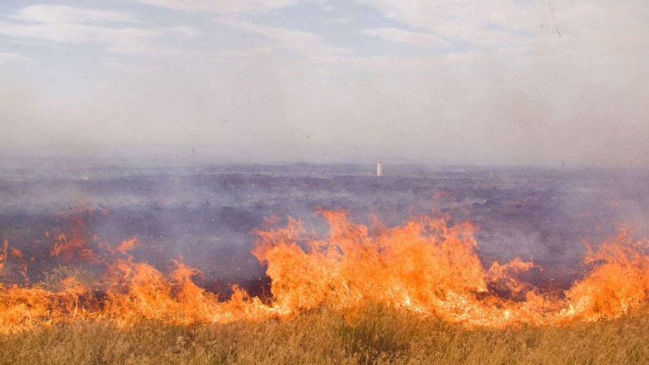 Xocavənd və Ağdərə rayonlarında yanğınları söndürmək üçün təxirəsalınmaz tədbirlər görülür