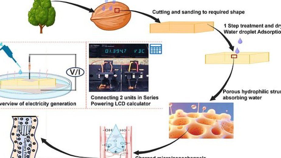 Alimlər ilk dəfə qoz qabığından su-elektrik generatoru hazırlayıblar