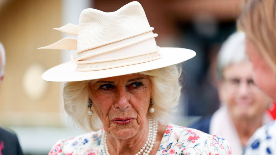 Britaniya kral ailəsi ilə bağlı yeni kitab rezonans doğurub