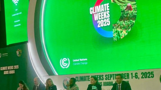 COP29: Əddis-Əbəbədə Bakı Maliyyə Məqsədinin icrasının sürətləndirilməsinə çağırış edilib