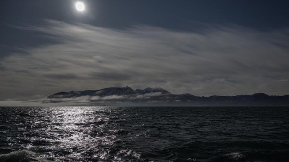 Critical ocean microbes face collapse as warming threatens global food webs: Research