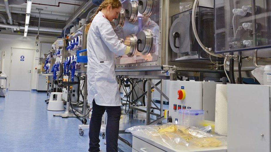 Nuclear watchdog chief announces breakthrough on Iran monitoring