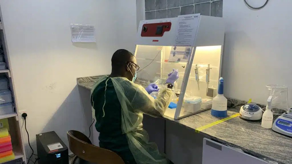 Nijerya’da ‘Lassa ateşi’ salgını: 162 ölü