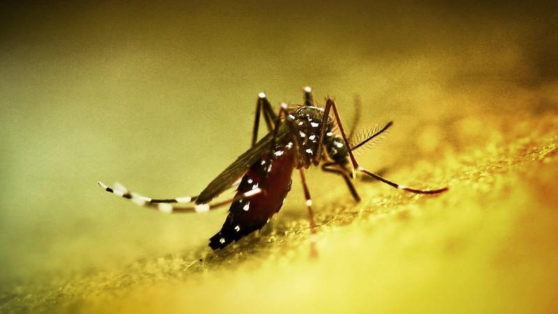 Çin'de halk sağlığı acil durumu ilan edildi