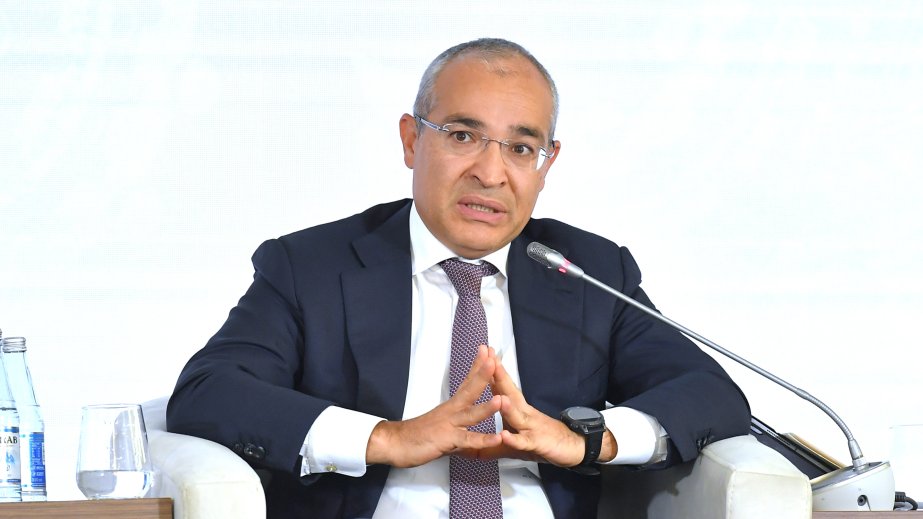 Minister: Italy is Azerbaijan's key trade and economic partner