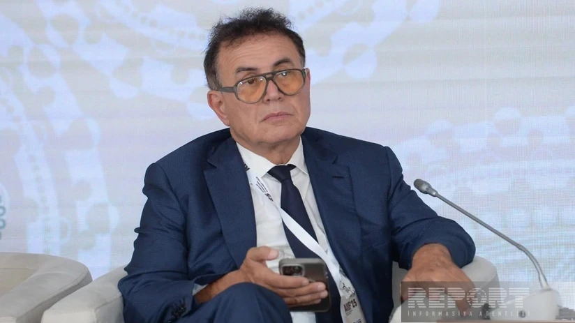 "Roubini Macro": Azərbaycan "yaşıl texnologiya"lar və fintexə birbaşa investisiyalar cəlb etməyə hazırdır