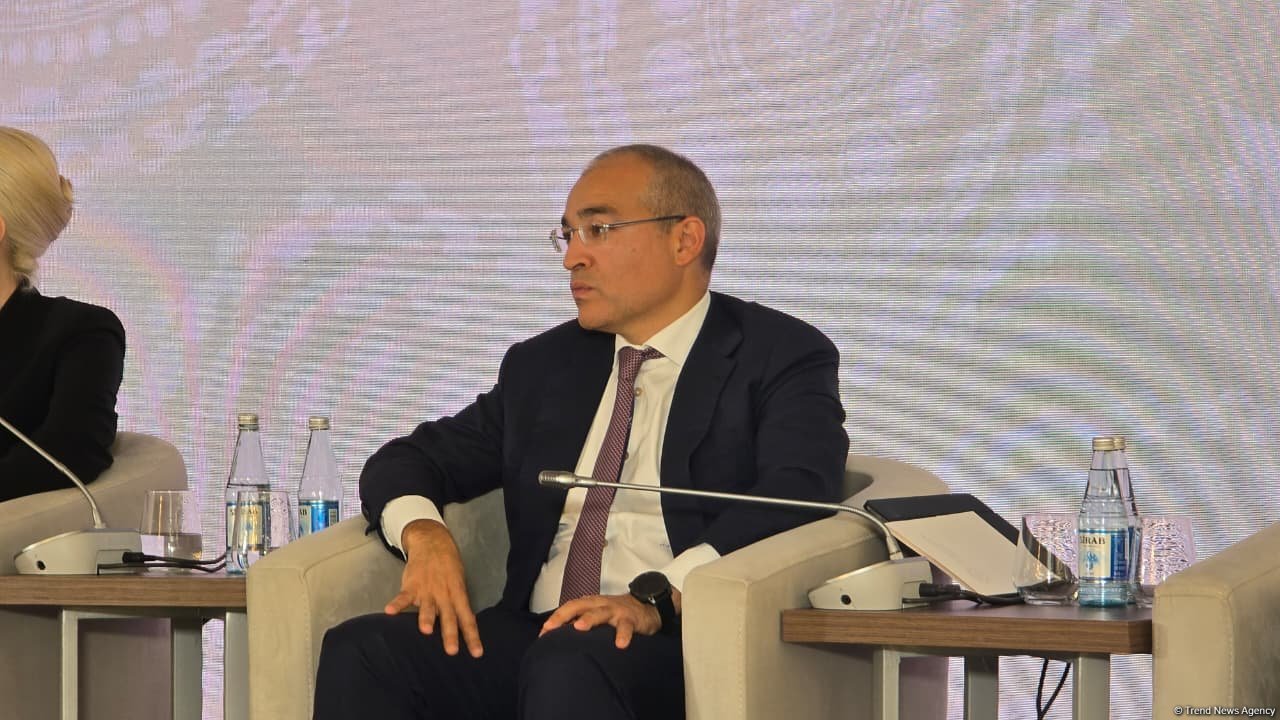 Özəl və dövlət şirkətlərimizin strateji bazarlarda iştirakına mane olmuruq - Mikayıl Cabbarov