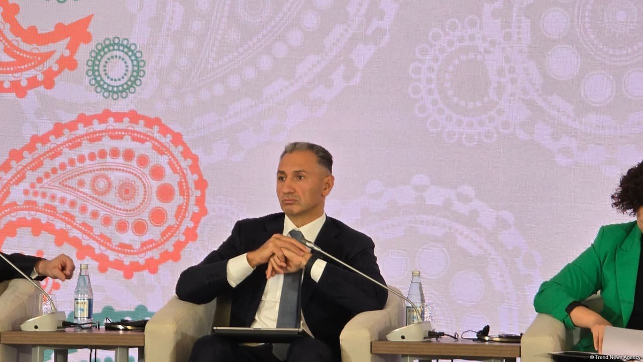 Zəngəzur dəhlizi Orta Dəhlizin mühüm arteriyası olacaq - Rəşad Nəbiyev
