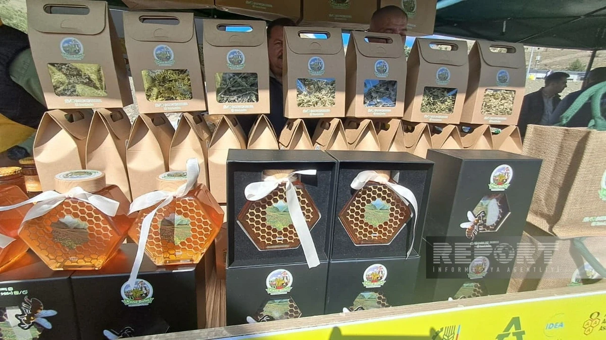 2025 Honey Festival to promote local beekeeping underway in Kalbajar