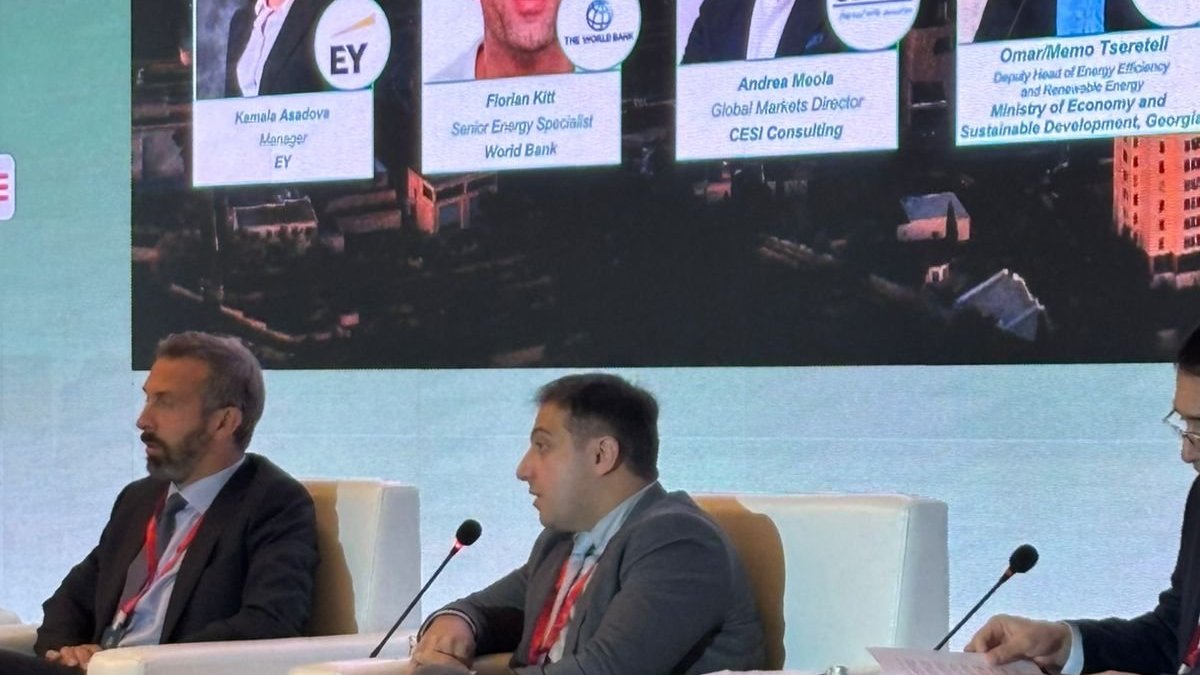 Enerji əməkdaşlığı üçün Cənubi Qafqaz və Mərkəzi Asiyada birgə fəaliyyət planları olmalıdır