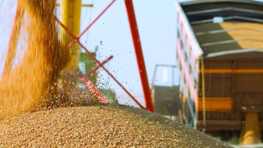 Kazakhstan increases grain supply to Azerbaijan