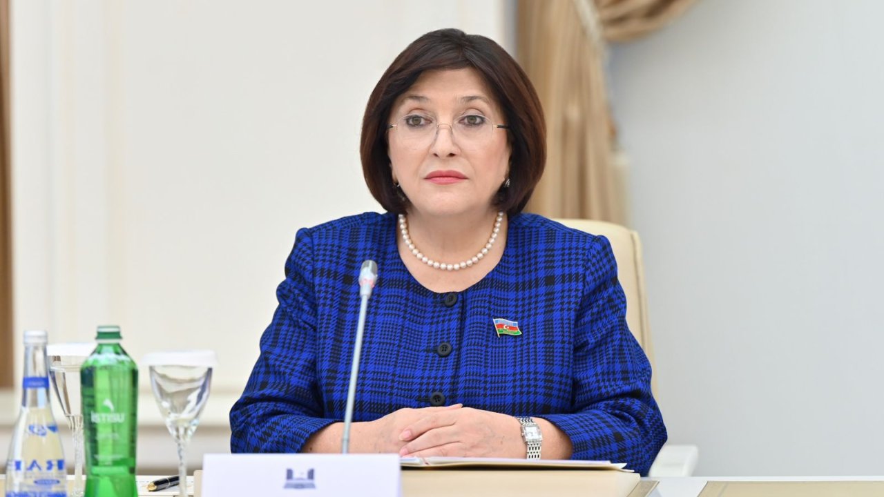 Prezident İlham Əliyevin Cənubi Qafqazdakı reallıqları BMT tribunasından təqdim etməsi xüsusi əhəmiyyətə malikdir – Sahibə Qafarova
