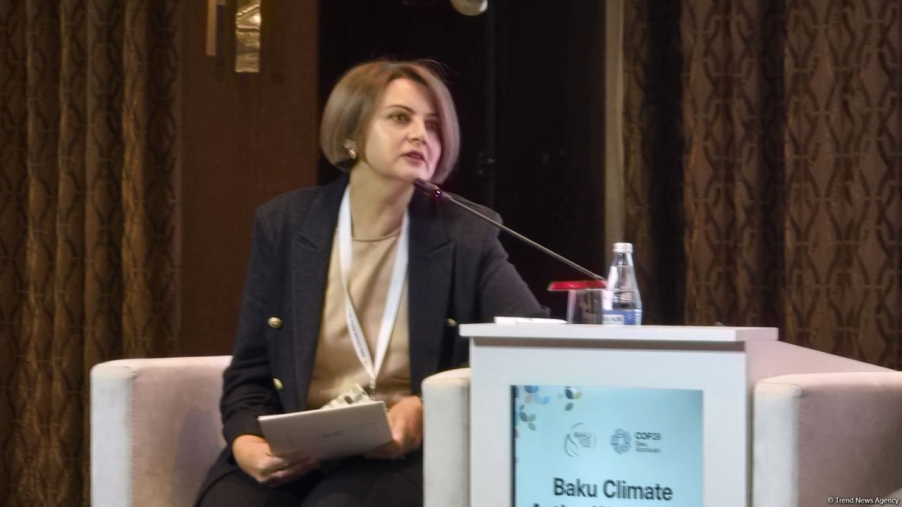 Azərbaycan günəş və elektrik enerjisi üzrə yeni layihələr hazırlayır