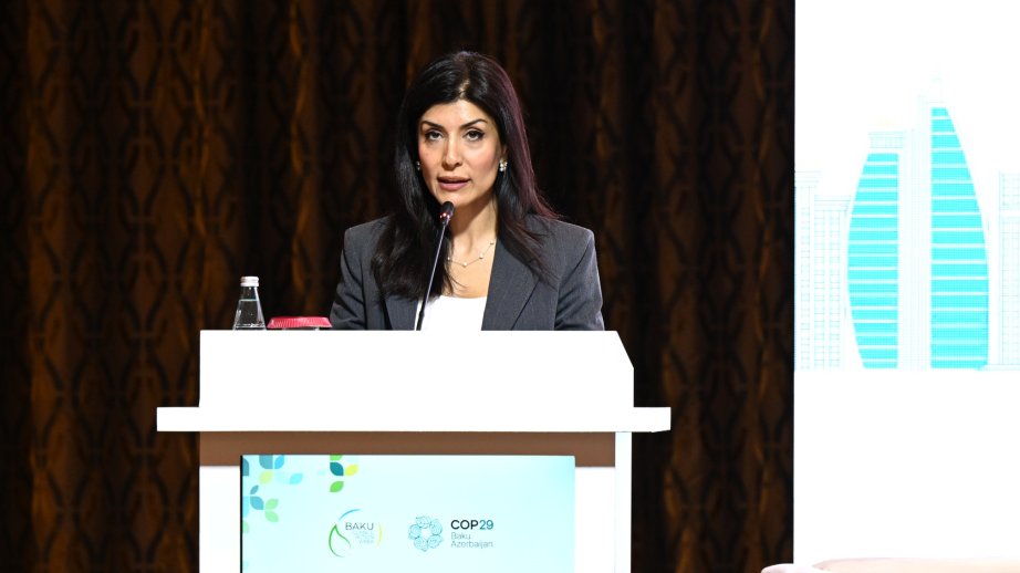 Nigar Arpadarai: Qadınların liderliyi iqlim fəaliyyətində effektiv rol oynayır