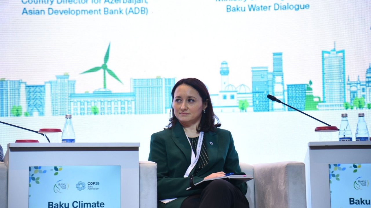 Azərbaycan kimi aşağı axın ölkələri yetərincə su ala bilmir - XİN nümayəndəsi