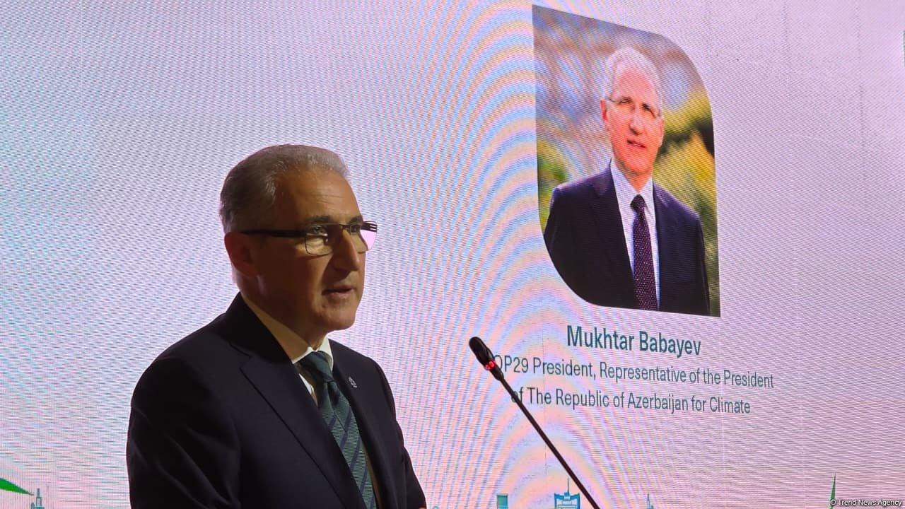 COP29 prezidenti Azərbaycanın iqlim gündəliyinin prioritetlərini açıqlayıb