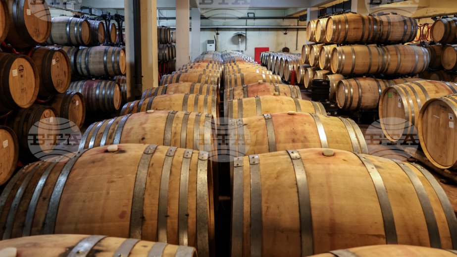 UN Tourism to open 9th Global Conference on Wine Tourism in Plovdiv