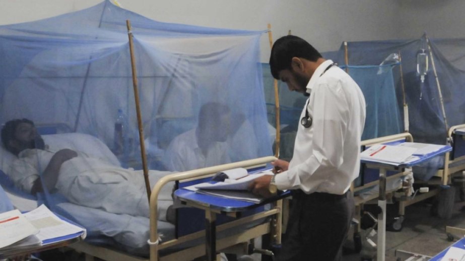 Dengue cases surge across Bangladesh as experts call for urgent action