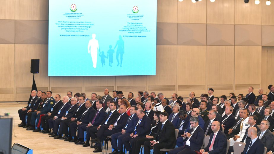 Türkiyədən olan nazir müavini: İtkin düşmüş şəxslər problemi ümumbəşəri məsələdir