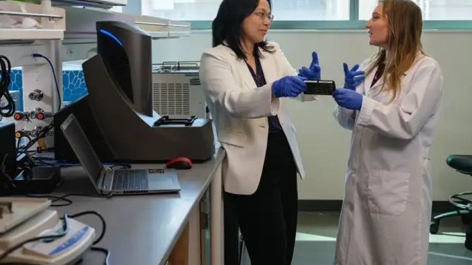 Tədqiqat: Pəhriz beyin sağlamlığını yaxşılaşdıra bilər