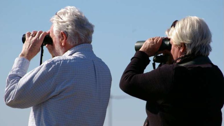 Yeni tədqiqat: Siqareti atmaq beyin fəaliyyətini qoruyur