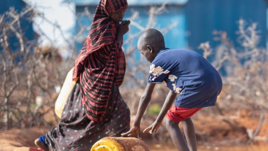 BMT dünyada 673 milyondan çox insanın aclıq çəkməsinin səbəblərini açıqlayıb