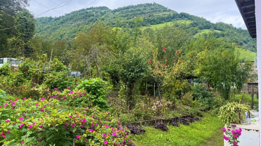 Astaranın təbiət incisi – Sim kəndi