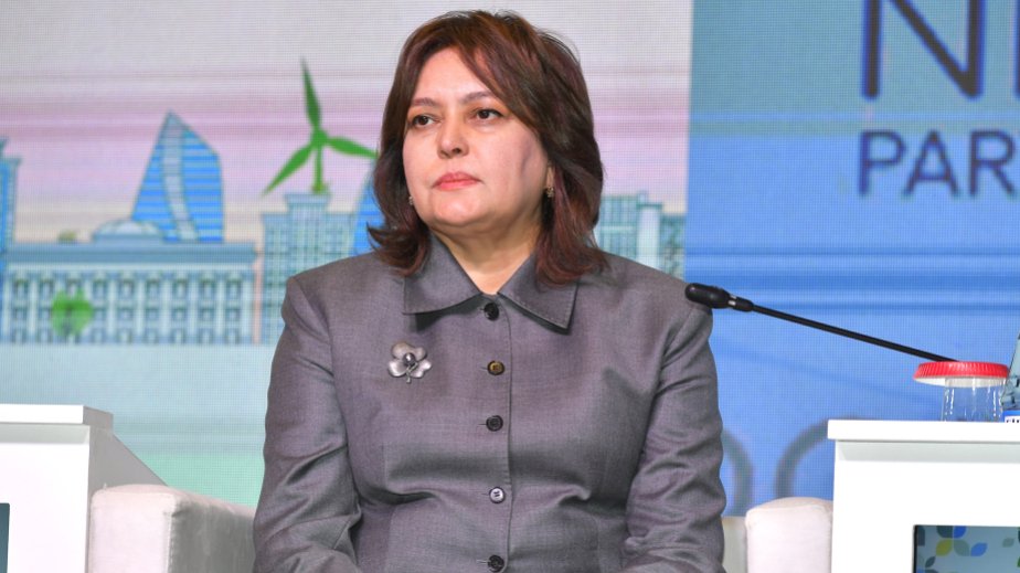 Nazir müavini: Azərbaycana daxil olan su ehtiyatları 30 faiz azalıb