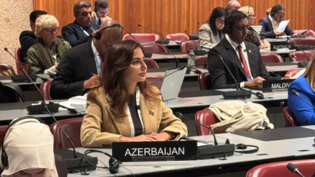 Əminə Ağazadə Parlamentlərarası İttifaqın komitə iclasında çıxış edib