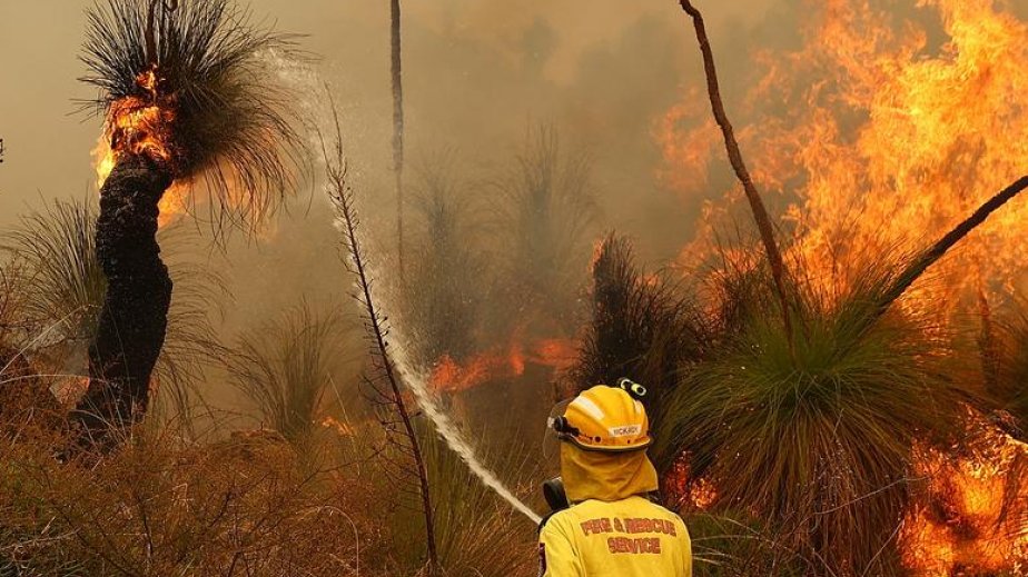 Avstraliya və Yeni Zelandiyada güclü küləklər yanğınlara və ekstremal istilərə səbəb olur