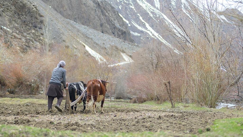 AİB-in Buzlaqların Əriməsi üzrə Uyğunlaşma Proqramı üçün 250 milyon dollar ayrılıb