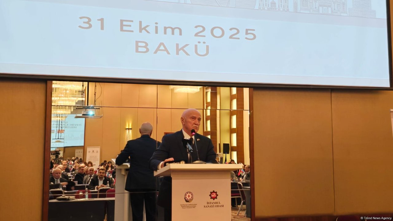 Ələt Azad İqtisadi Zonasında günəş panelləri istehsal edən yeni müəssisələr fəaliyyətə başlayacaq