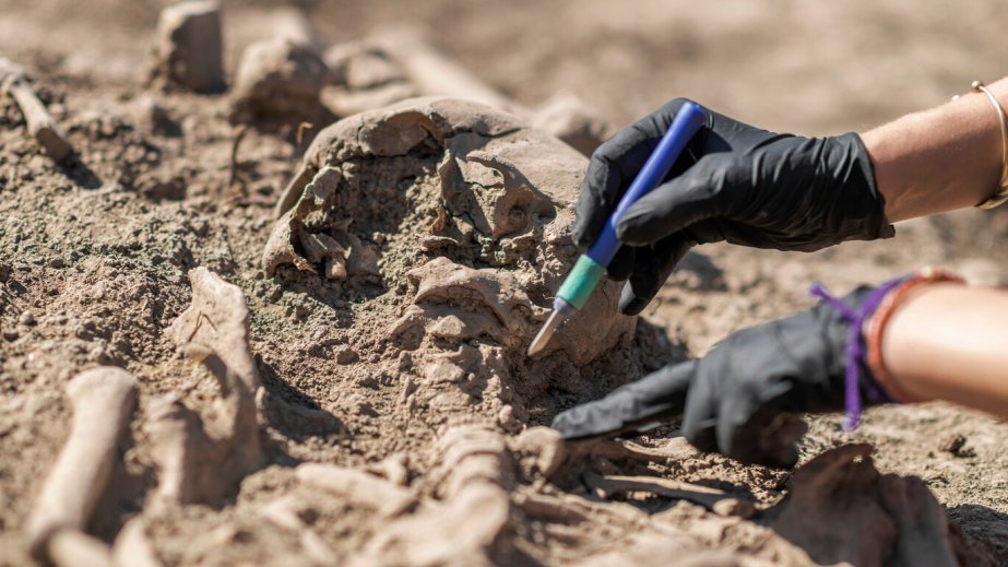 Qədim primat həm qorilla gücü, həm də insan çevikliyi ilə alimləri təəccübləndirib