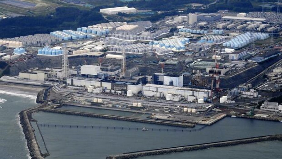 Yaponiya Çinə dəniz məhsulları ixracını bərpa edir